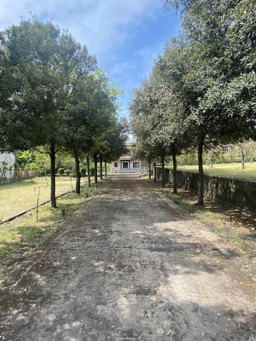 Villa Caterina, Alle Pendici Del Vulcano Etna Viagrande Exterior foto